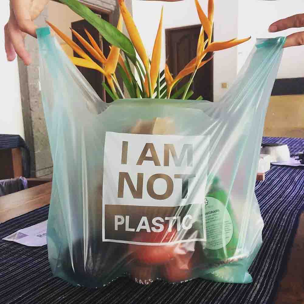 i am not a plastic bolsa