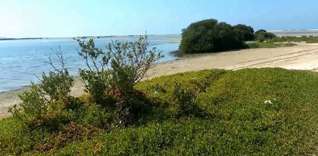 rak
